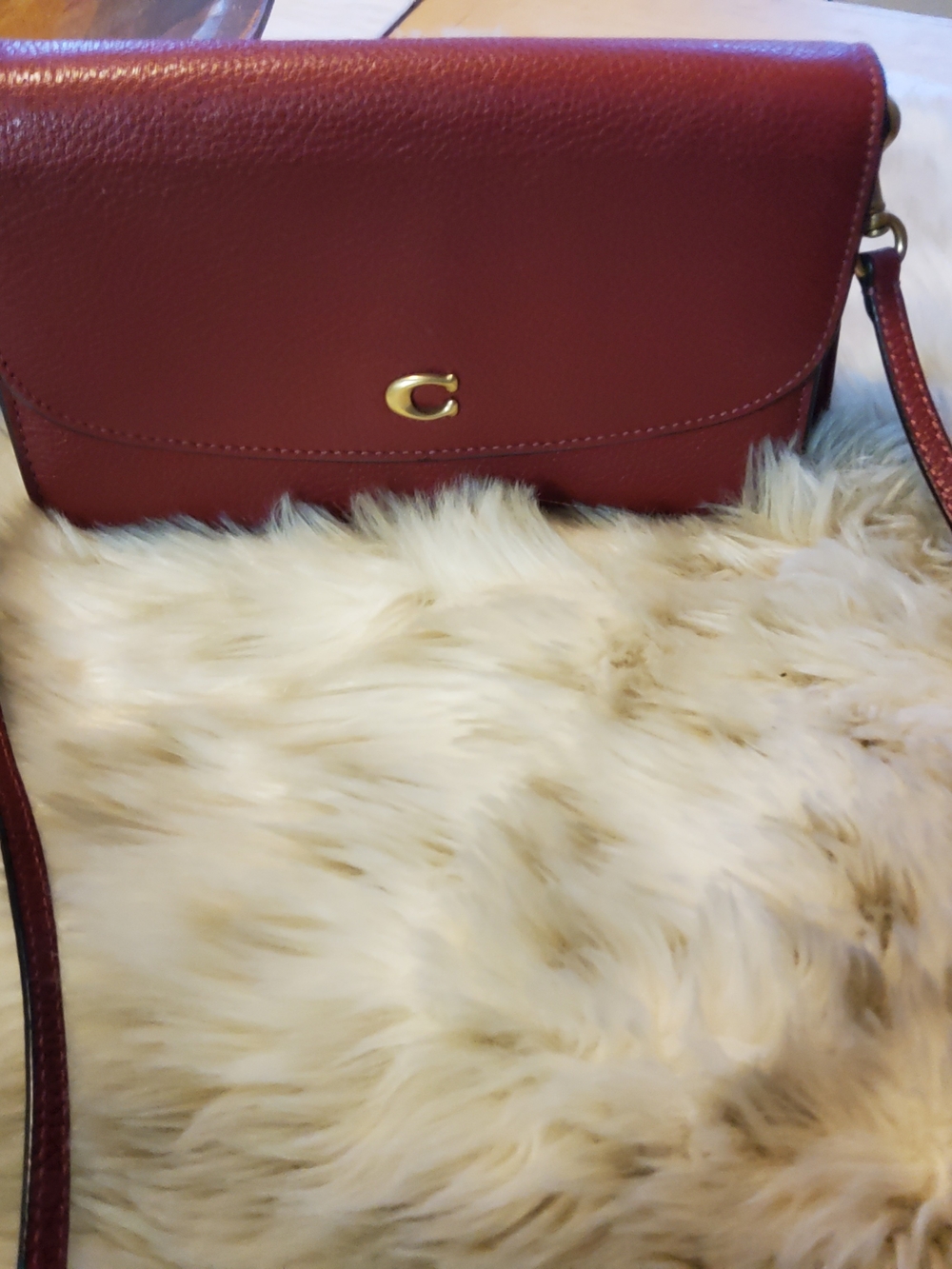 Coach Hayden Crossbody EUC